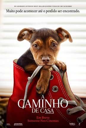 Capa para download torrent de Filme A Caminho de Casa - A Dogs Way Home