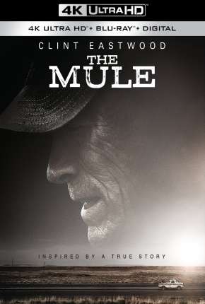 A Mula 4K (2019)
