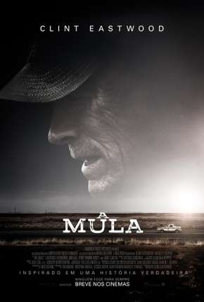 Capa para download torrent de Filme A Mula - Legendado