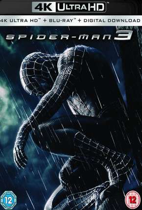 Capa para download torrent de Filme Homem-Aranha 3 4K