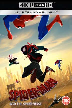 Capa para download torrent de Filme Homem-Aranha - No Aranhaverso 4K Legendado