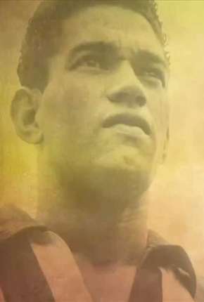 Capa para download torrent de Filme O Mito de Garrincha
