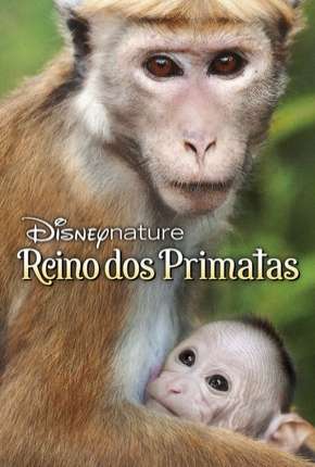Capa para download torrent de Filme O Reino dos Primatas