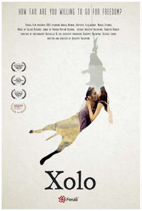 Capa para download torrent de Filme Xolo - Legendado