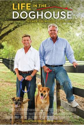 Capa para download torrent de Filme A Casa é Dos Cachorros - Legendado