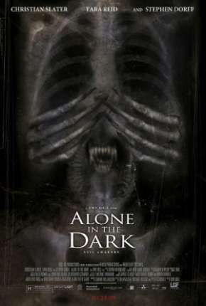 Capa para download torrent de Filme Alone in the Dark - O Despertar do Mal