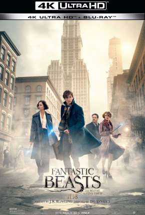 Animais Fantásticos e Onde Habitam - 4K (2016)