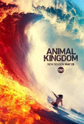 Capa para download torrent de Série Animal Kingdom - 4ª Temporada Legendada