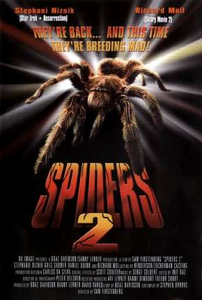 Capa para download torrent de Filme Aranhas Assassinas 2