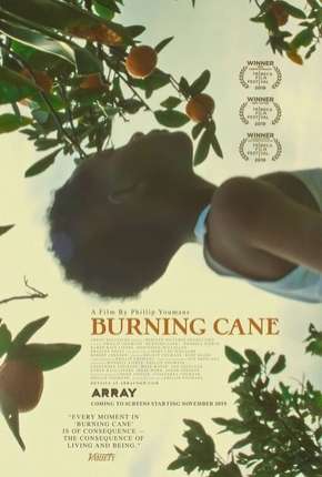 Burning Cane - Legendado (2019)