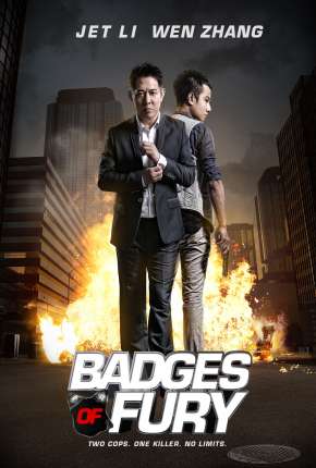 Capa para download torrent de Filme Dupla em Fúria - DVD-R