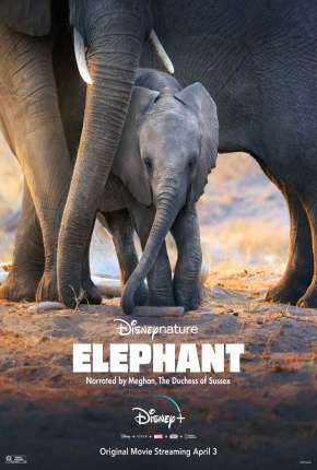 Capa para download torrent de Filme Elefante - Legendado