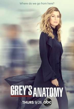 Capa para download torrent de Série A Anatomia de Grey - Greys Anatomy - 16ª Temporada