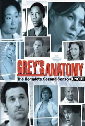 Capa para download torrent de Série Greys Anatomy - 2ª Temporada Completa