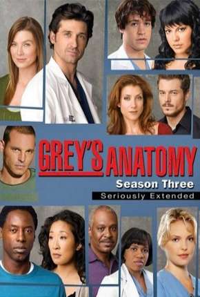 Capa para download torrent de Série Greys Anatomy - 3ª Temporada - Completa