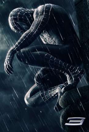 Capa para download torrent de Filme Homem-Aranha 3 - Versão do Editor Legendado