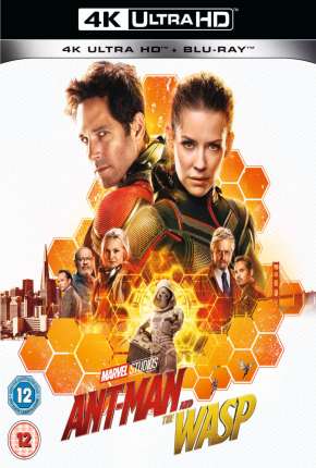 Capa para download torrent de Filme Homem-Formiga e a Vespa 4K