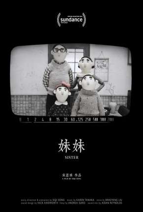 Capa para download torrent de Filme Irmã - Sister - Legendado