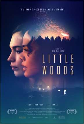 Capa para download torrent de Filme Little Woods - Legendado