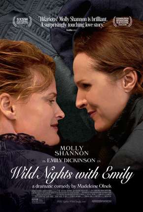 Capa para download torrent de Filme Loucas Noites com Emily - Legendado