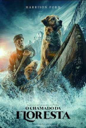 Capa para download torrent de Filme O Chamado da Floresta