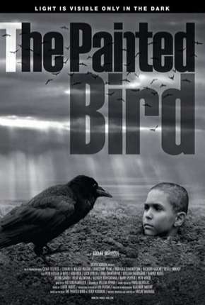 Capa para download torrent de Filme O Pássaro Pintado - Legendado