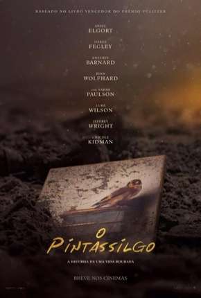 Capa para download torrent de Filme O Pintassilgo