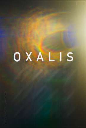 Capa para download torrent de Filme Oxalis - Legendado