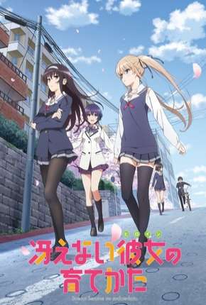 Capa para download torrent de Desenho Saenai Heroine no Sodatekata - Legendado