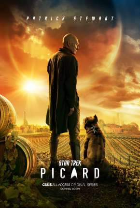 Capa para download torrent de Série Star Trek - Picard - 1ª Temporada