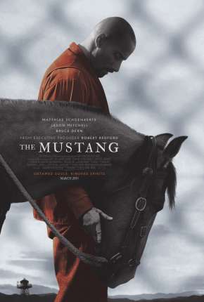 Capa para download torrent de Filme The Mustang - Legendado