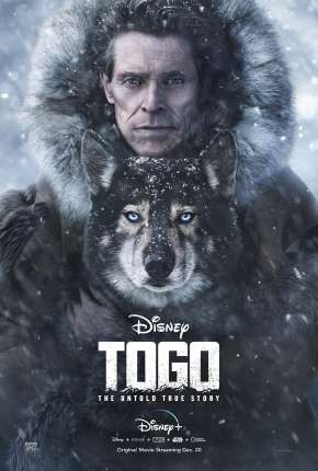 Capa para download torrent de Filme Togo