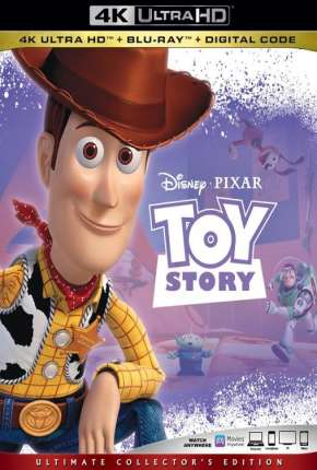 Capa para download torrent de Filme Toy Story - Um Mundo de Aventuras 4K