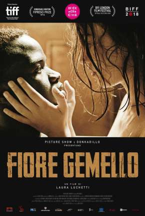Capa para download torrent de Filme Twin Flower - Legendado