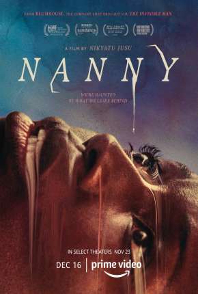 Capa para download torrent de Filme A Babá - Nanny