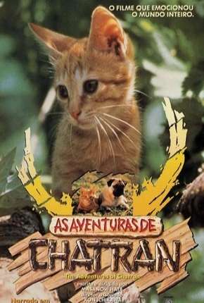 Capa para download torrent de Filme As Aventuras de Chatran