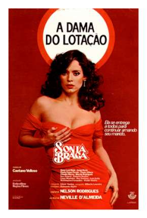Capa para download torrent de Filme A Dama do Lotação