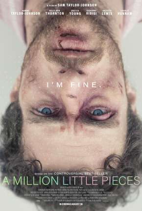 Capa para download torrent de Filme A Million Little Pieces - Legendado