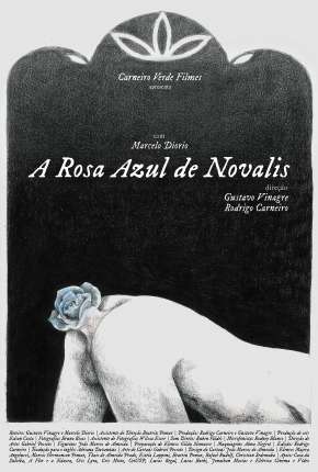 A Rosa Azul de Novalis (2020)