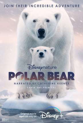 Capa para download torrent de Filme A Ursa Polar