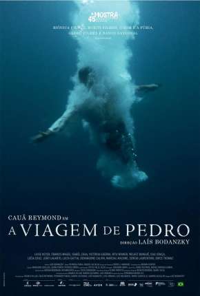 Capa para download torrent de Filme A Viagem de Pedro