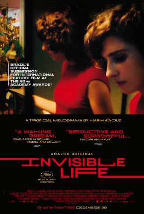 Capa para download torrent de Filme A Vida Invisível - Nacional