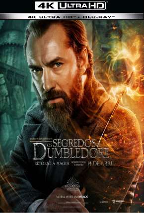 Capa para download torrent de Filme Animais Fantásticos - Os Segredos de Dumbledore 4K