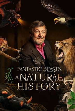 Animais Fantásticos - Uma História Natural (2022)