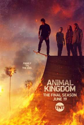Capa para download torrent de Série Animal Kingdom - 5ª Temporada Legendada