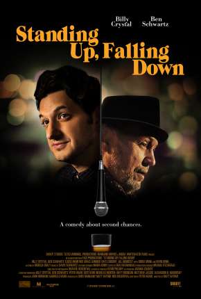 Capa para download torrent de Filme Caindo em Pé