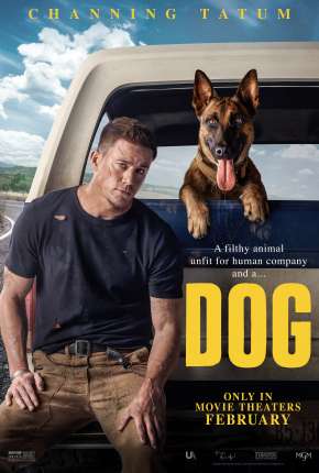 Capa para download torrent de Filme Dog - Legendado