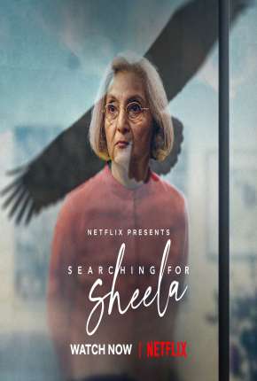 Capa para download torrent de Filme Em Busca de Sheela