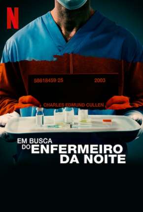 Capa para download torrent de Filme Em Busca do Enfermeiro da Noite