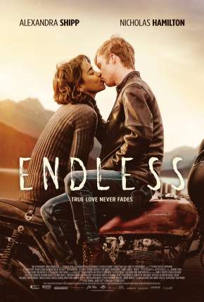 Capa para download torrent de Filme Endless - Legendado